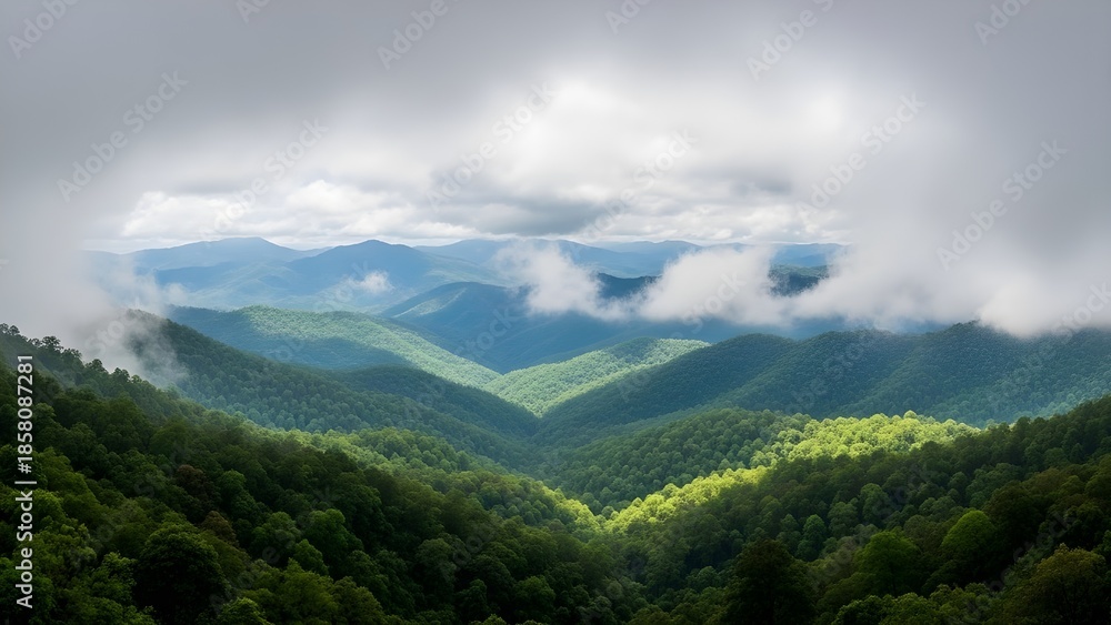 Obraz premium Panoramic view of a forested mountain valley with floating white clouds between rolling hills.