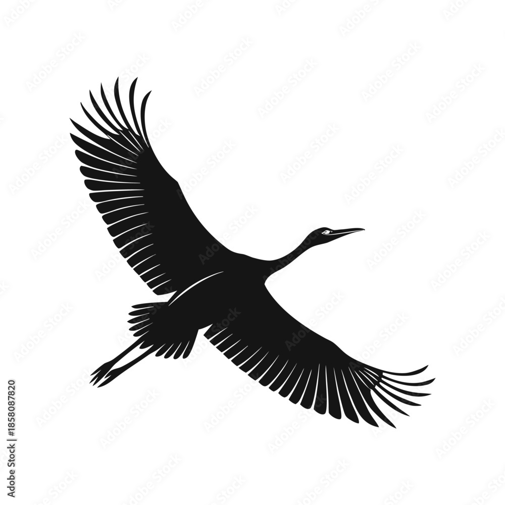 Fototapeta premium Free Peak Flying Bird Silhouette