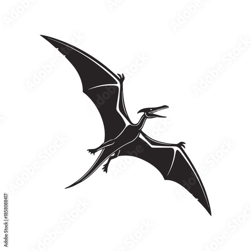 Flying Pterosaur Silhouette Illustration