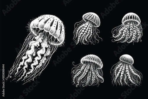 Set Bundle Hand Drawn Gold Fish Aquatic Black White Vintage Dark Art for Tattoo and Clothing illustration