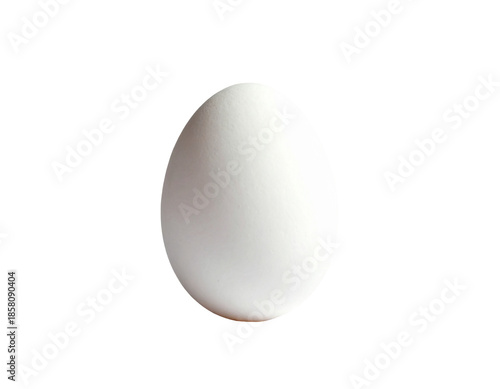 A single white egg isolated on a white background.