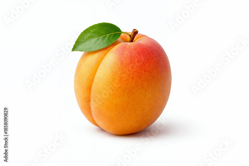Single Ripe Apricot with Stem and Leaf Isolated on White Background