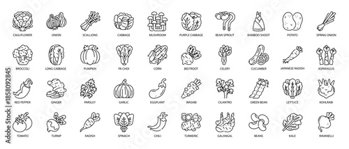 Fresh Vegetables and Healthy Food Line Icon Pack