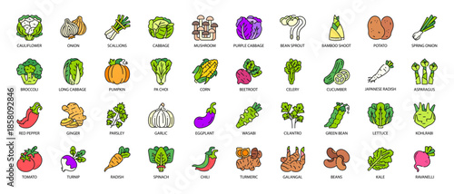 Fresh Vegetables and Healthy Food Filled Line Icon Pack