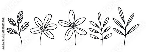 Hand drawn minimalist botanical elements including various leaves and simple flowers ideal for organic brand identity, graphic design projects, and natural product packaging