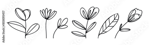 Collection of minimalist outline botanical elements featuring various delicate flowers and leaves, perfect for modern graphic prints, natural decor, and clean design projects