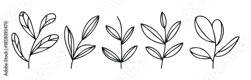 Vector outline botanic collection with diverse leaves and branches for natural branding, elegant wedding invitations, decorative print materials, or organic cosmetic packaging designs