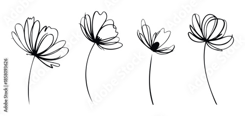 Minimalist hand drawn botanical flowers with elegant line art design perfect for decorative prints or modern graphic assets for branding.