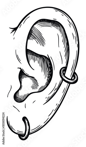 black and white ear with piercings clip art preview