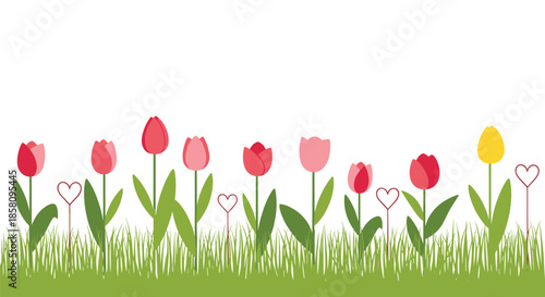 Charming row of pink, red, and yellow tulips growing in grass with decorative heart-shaped garden stakes on a white background.