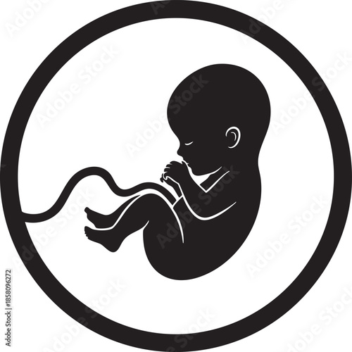 fetus in womb silhouette icon