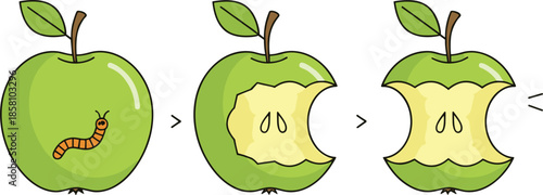 Cartoon green apple eating process vector illustration showing worm whole apple bitten fruit and apple core in flat style