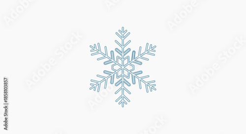 Intricate six-pointed ice crystal snowflake with delicate branches.