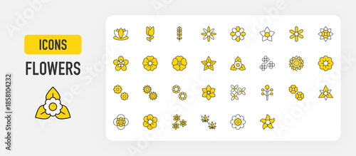 Set of Flowers vector. Lotus, Tulip, Lavender, Aster, Jasmine, Hoya, Clematis, Sakura, Geranium Rozanne, Amaryllis Flower, Bougainvillea, Chamomile, Sunflower, Peony, Daisy illustration. 