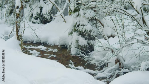 Scenic winter landscape footage of a partially frozen river or creek flowing through a snow-covered forest in Synevyr National Park, Carpathians, Ukraine.
