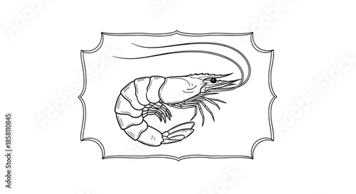 Detailed black and white line art illustration of a shrimp inside a decorative ornate frame for seafood menus and restaurant branding.