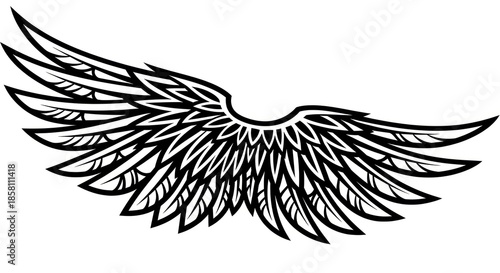 Black and White Angel Wings Illustration.