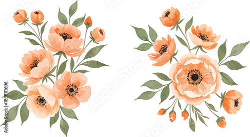 Two bouquets of peach colored roses and green leaves on white background