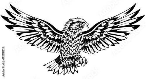 Black and White Eagle Illustration.