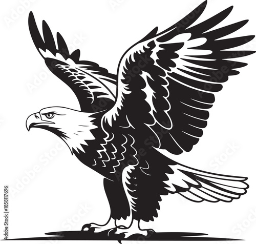 Eagle flying with wings spread wide silhouette bald eagle bird of prey hunting pose graphic element