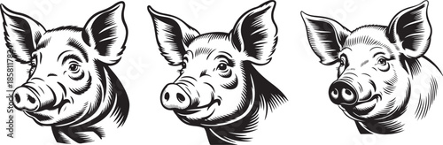 Set of two vintage monochrome ravens standing for tattoo or animal concepts