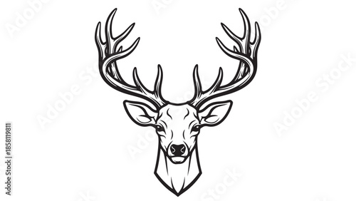Detailed illustration of a deer head with large antlers
