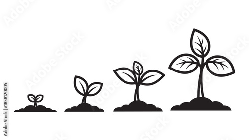 Four stages of plant growth from seedling to mature plant