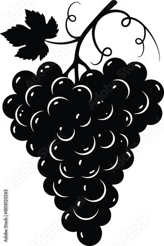 Purple and green bunch of grapes vector illustration featuring ripe berries on a grapevine branch with a fresh leaf for healthy food and wine agriculture design