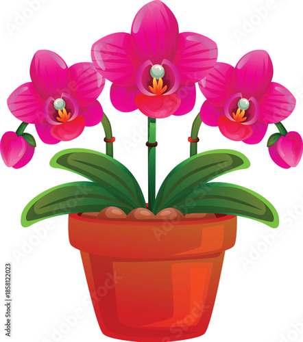 bright pink purple orchid flower in a pot