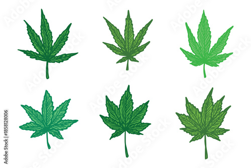 Set of hand drawn cannabis leaf Medicine marijuana Hemp leaves clipart in doodle style Single element for print, web, design, decor