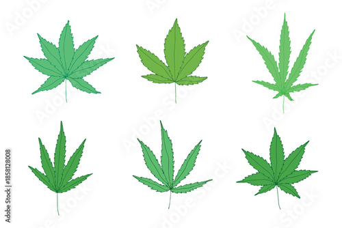Set of hand drawn cannabis leaf Medicine marijuana Hemp leaves clipart in doodle style Single element for print, web, design, decor