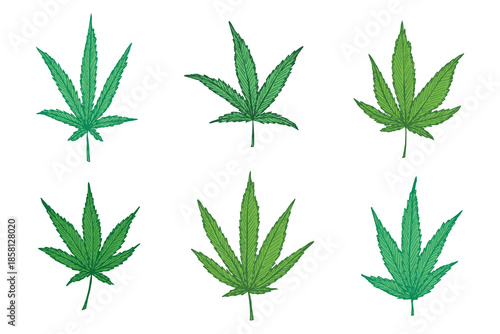 Set of hand drawn cannabis leaf Medicine marijuana Hemp leaves clipart in doodle style Single element for print, web, design, decor