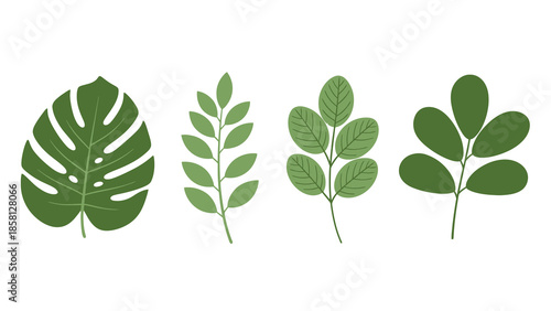 A collection of four distinct green leaf illustrations, showcasing various botanical shapes and foliage designs, isolated on a white background.