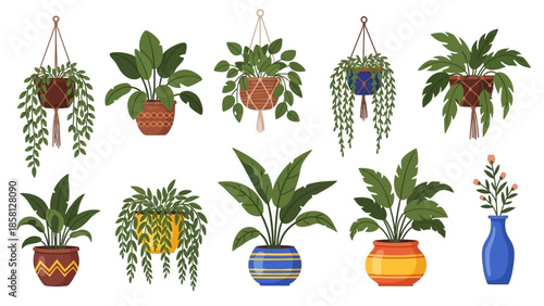 A vibrant collection of various potted house plants and hanging baskets in decorative containers, featuring lush green foliage and a small vase with flowers.