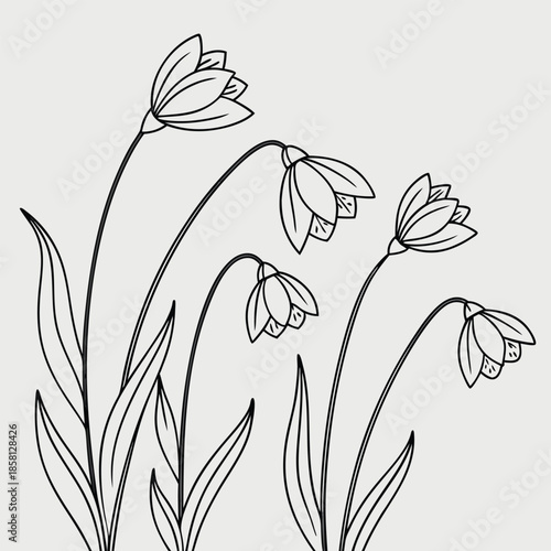 Line Art Illustration of Five Bell- Shaped Flowers bloom blooming