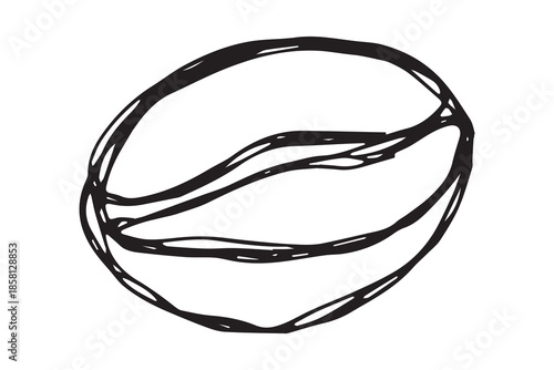 Hand drawn fresh roasted coffee bean Arabica robusta seed doodle Single element for print, web, design, decor