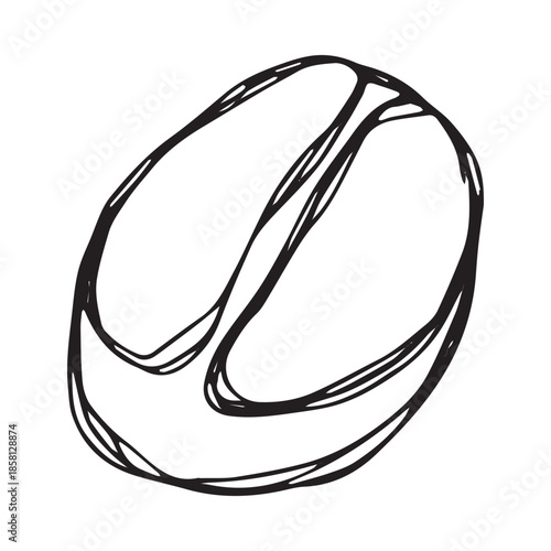 Hand drawn fresh roasted coffee bean Arabica robusta seed doodle Single element for print, web, design, decor