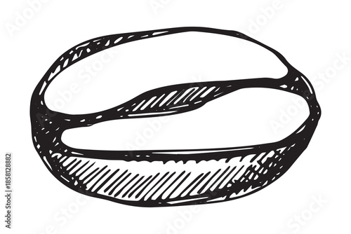 Hand drawn fresh roasted coffee bean Arabica robusta seed doodle Single element for print, web, design, decor
