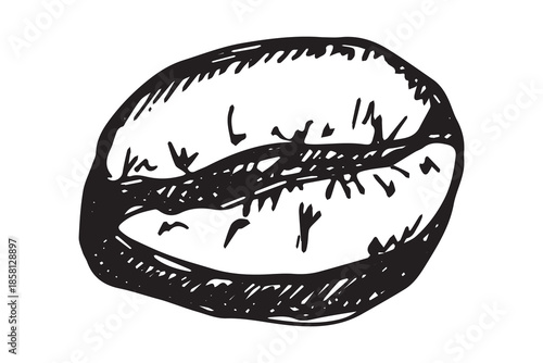 Hand drawn fresh roasted coffee bean Arabica robusta seed doodle Single element for print, web, design, decor