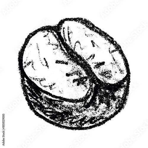 Hand drawn fresh roasted coffee bean Arabica robusta seed doodle Single element for print, web, design, decor