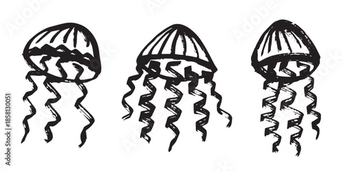 Set of hand drawn jellyfish doodle Sea animal illustration Cute marine underwater creature Medusa sketch clipart Single element for web, design, decor, children's print