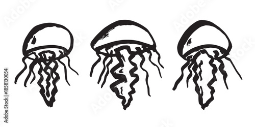 Set of hand drawn jellyfish doodle Sea animal illustration Cute marine underwater creature Medusa sketch clipart Single element for web, design, decor, children's print