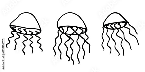 Set of hand drawn jellyfish doodle Sea animal illustration Cute marine underwater creature Medusa sketch clipart Single element for web, design, decor, children's print