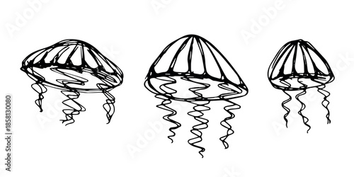 Set of hand drawn jellyfish doodle Sea animal illustration Cute marine underwater creature Medusa sketch clipart Single element for web, design, decor, children's print