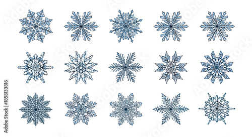 Detailed collection of fifteen unique blue crystalline snowflake designs arranged in a grid on a plain white background for winter projects.
