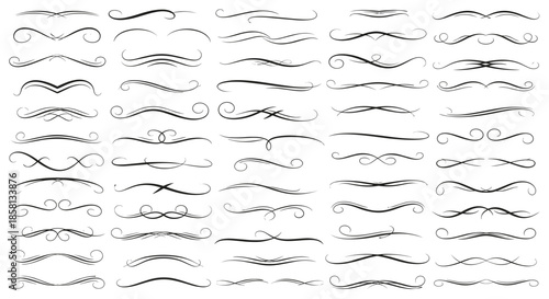 Large collection of diverse decorative line dividers and flourishes in black ink style for elegant page layout and stationery design.