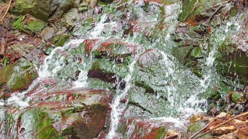 In the forest, spring water, ponds, clear water, rivers, healing resources