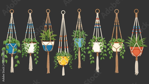 a collection of plants in pot, black backgorund