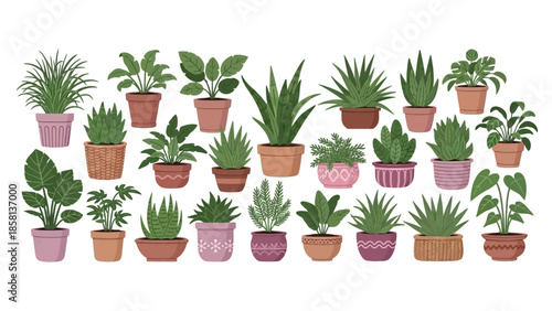 A diverse collection of potted houseplants in various styles and colors, arranged neatly on a white background.