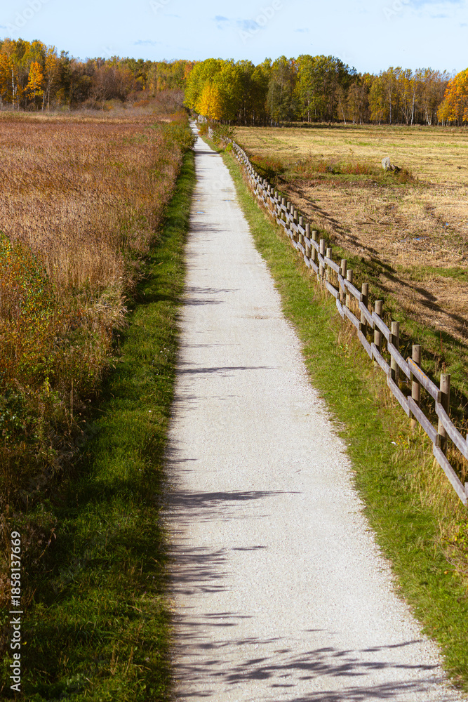 Fototapeta premium A long, narrow pathway stretches between a wooden fence and a dry field in autumn. Fall landscape shows colourful trees in the distance with brown grass and green vegetation along a rural country road